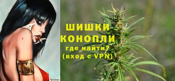 молекула духа Гусев