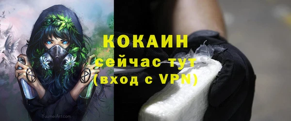 молекула духа Гусев