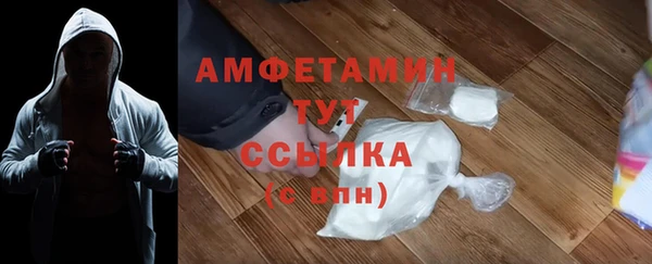 молекула духа Гусев