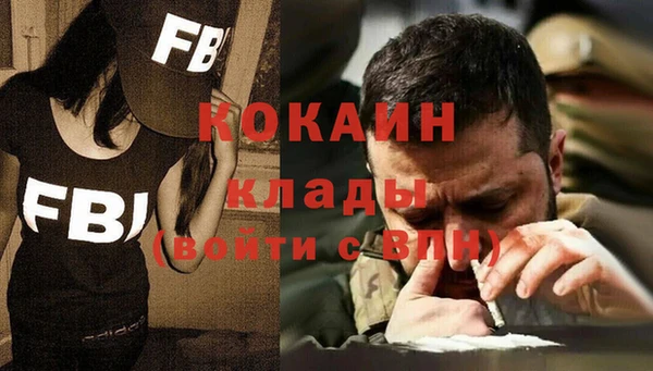 молекула духа Гусев