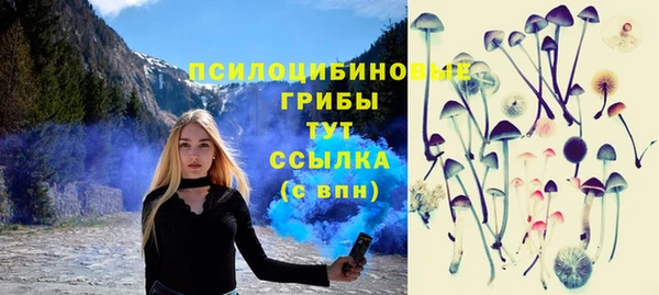Альфа ПВП Гусиноозёрск