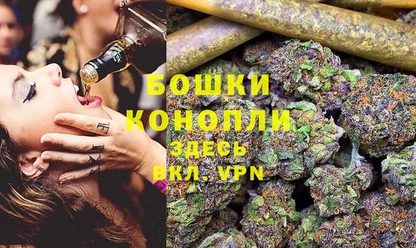 молекула духа Гусев