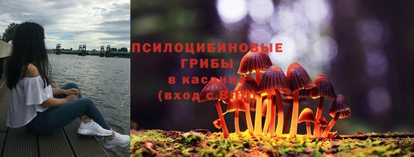 Альфа ПВП Гусиноозёрск
